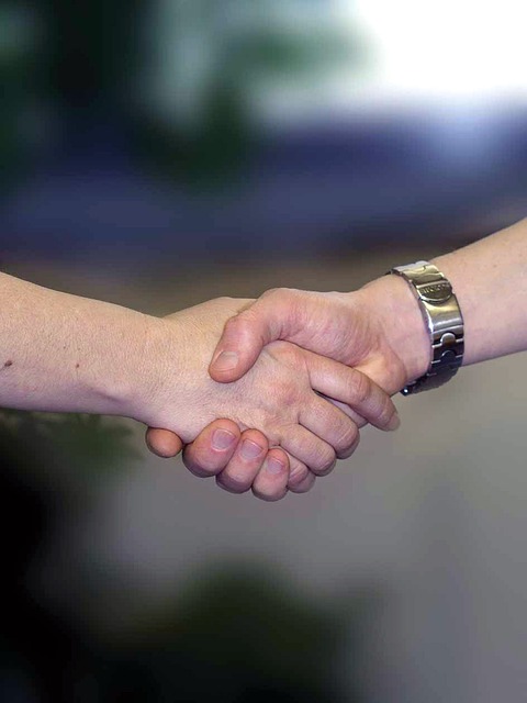 handshake, hands, welcome